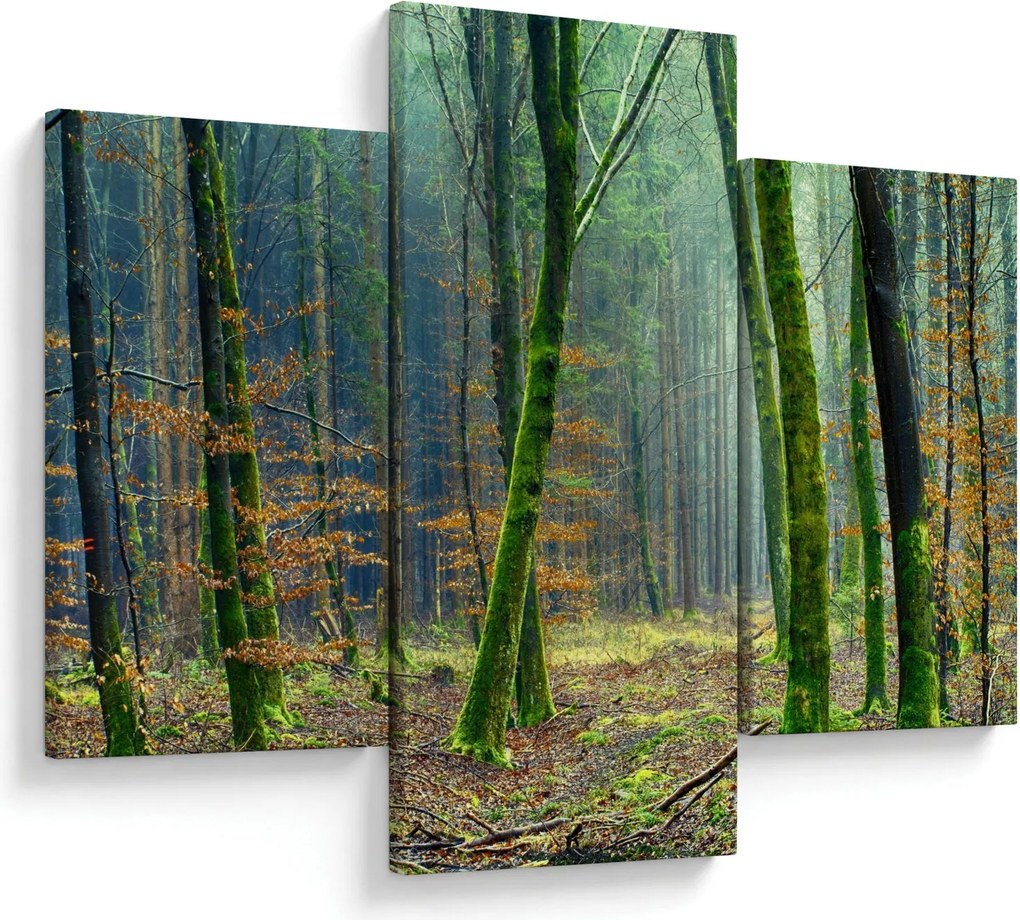 Tablou cu pădure (90x60 cm)