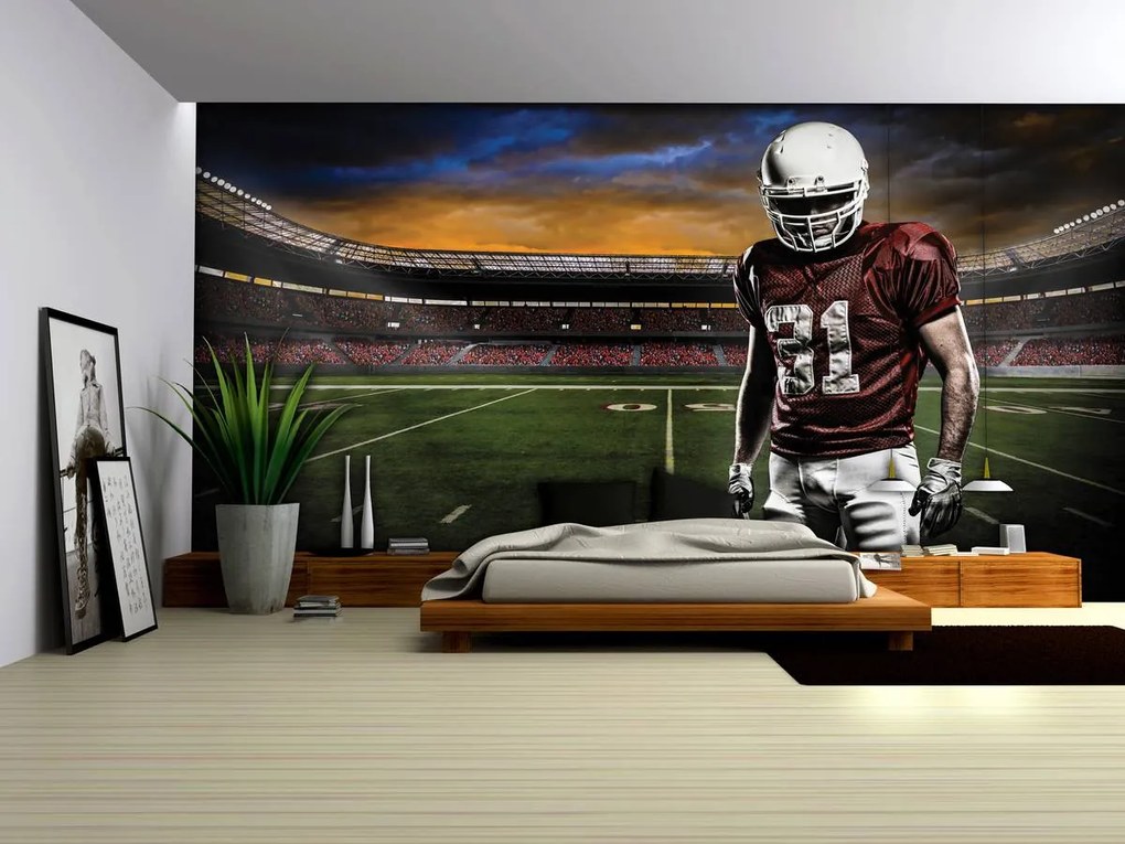 Fototapet - Stadionul american de fotbal (152,5x104 cm)