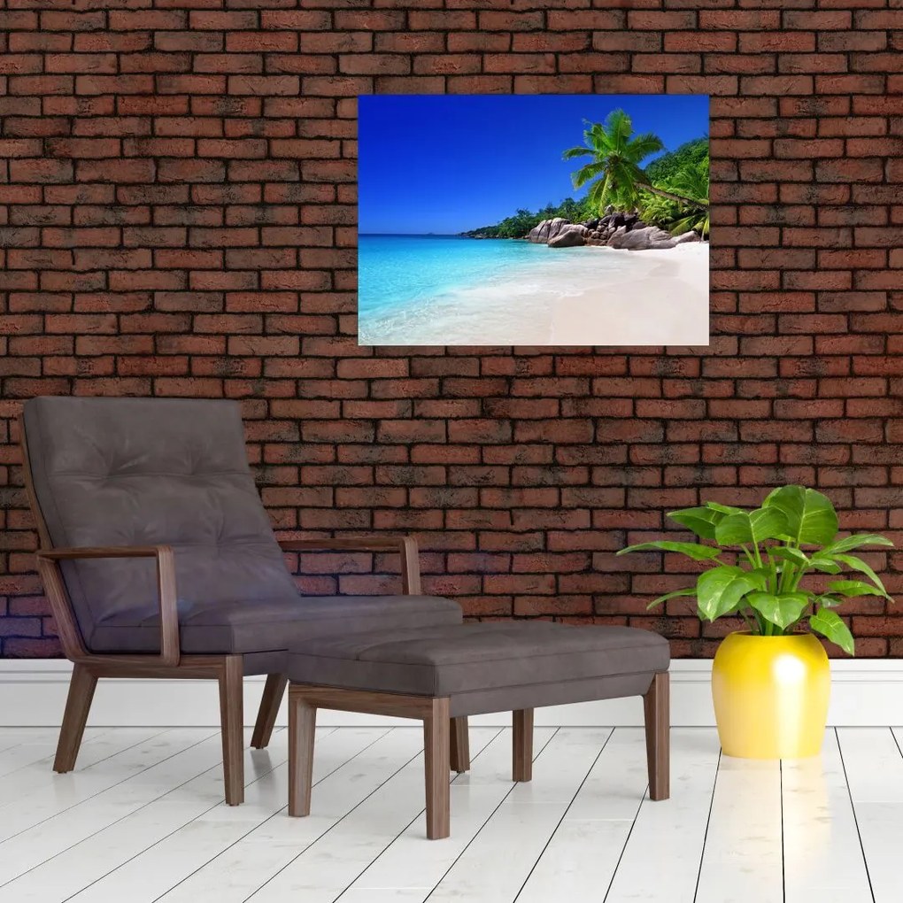 Tablou pe sticlă cu plaja pe insula Praslin (70x50 cm)