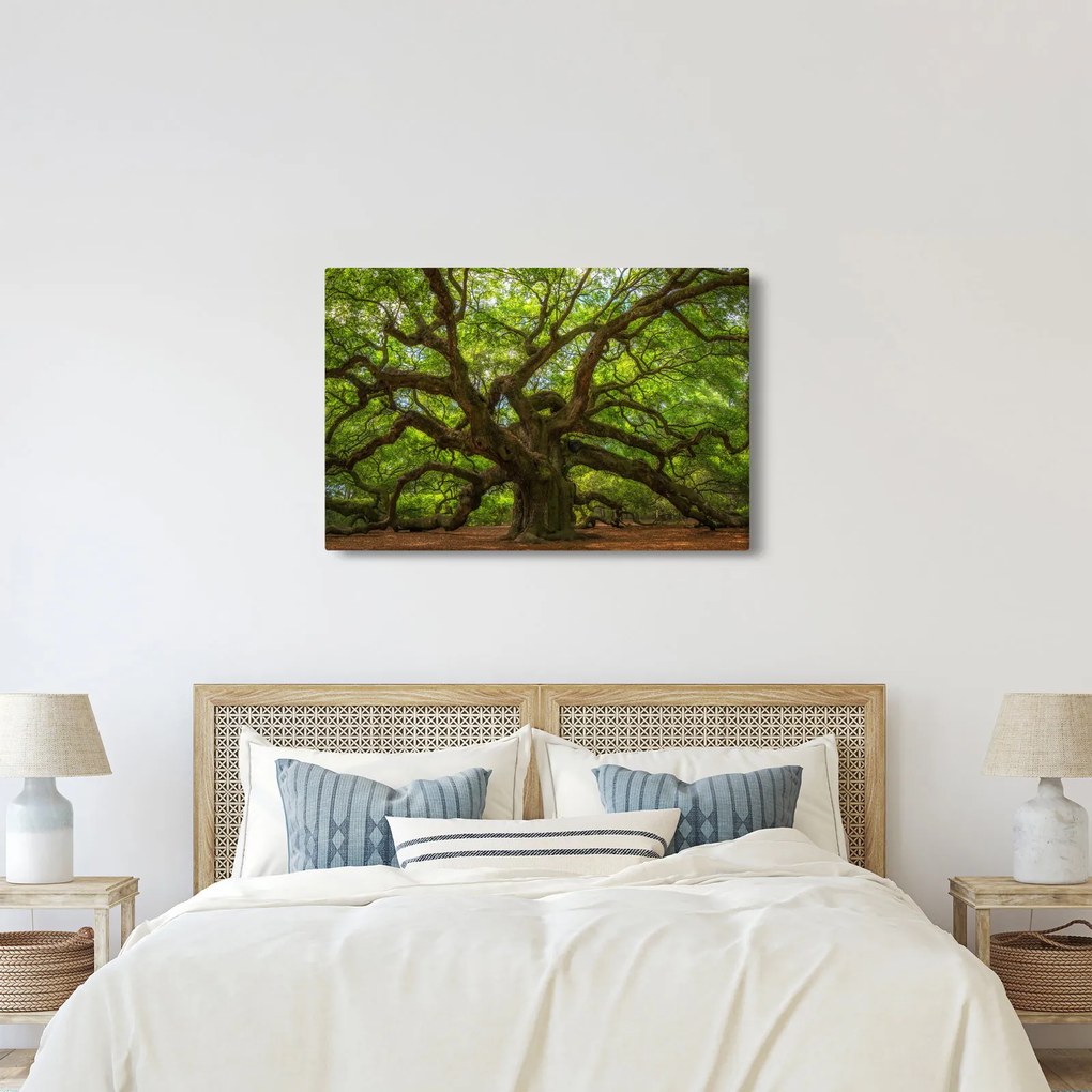 Tablou - Copac verde (90x60 cm)