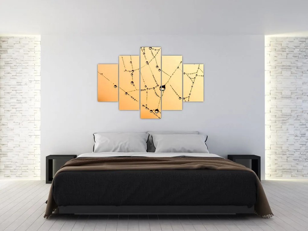 Tablou cu pânză de pâianjen cu rouă (150x105 cm)