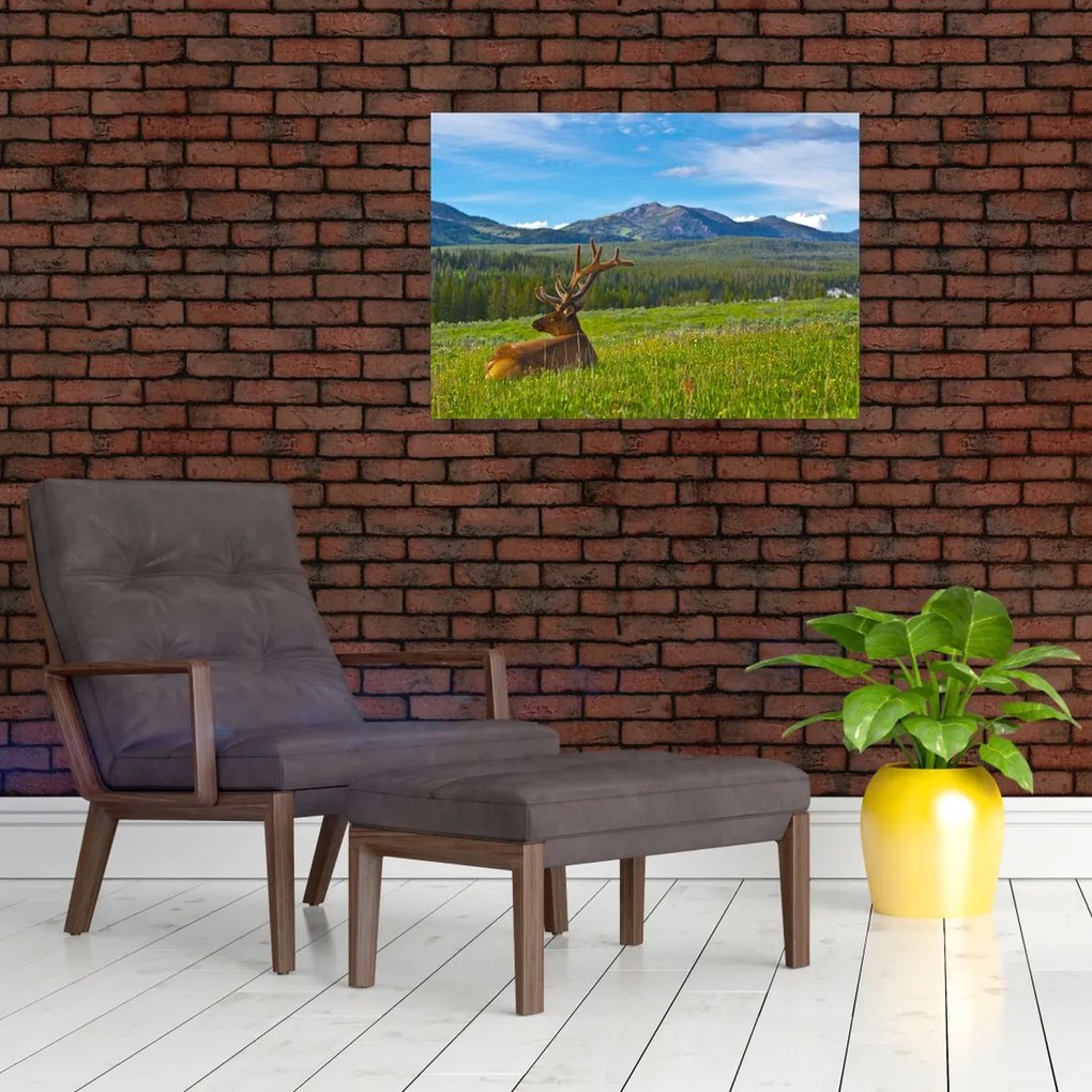 Tablou - Cerb în luncă (70x50 cm)