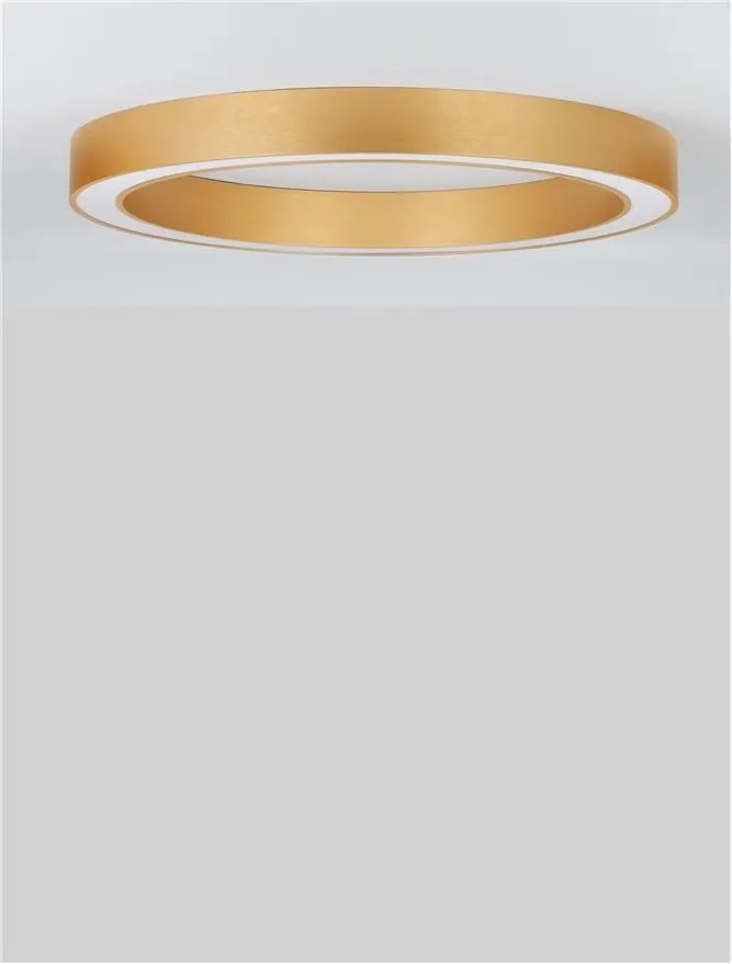 Lustra LED aplicata design modern OPAL 60W aurie