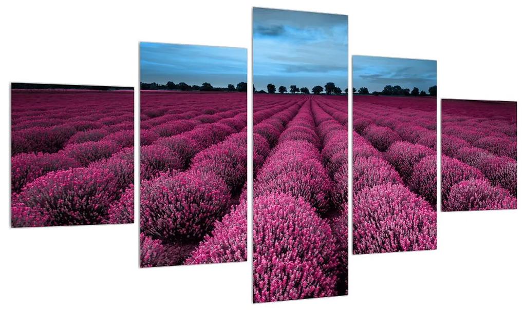Tablou cu cîmp de flori (125x70 cm), în 40 de alte dimensiuni noi