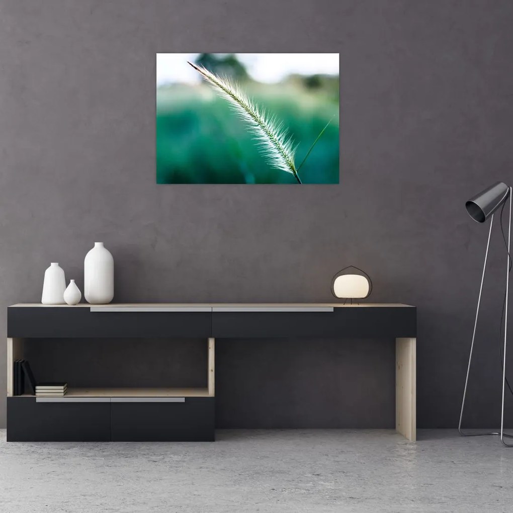 Tablou cu fir de iarbă (70x50 cm)