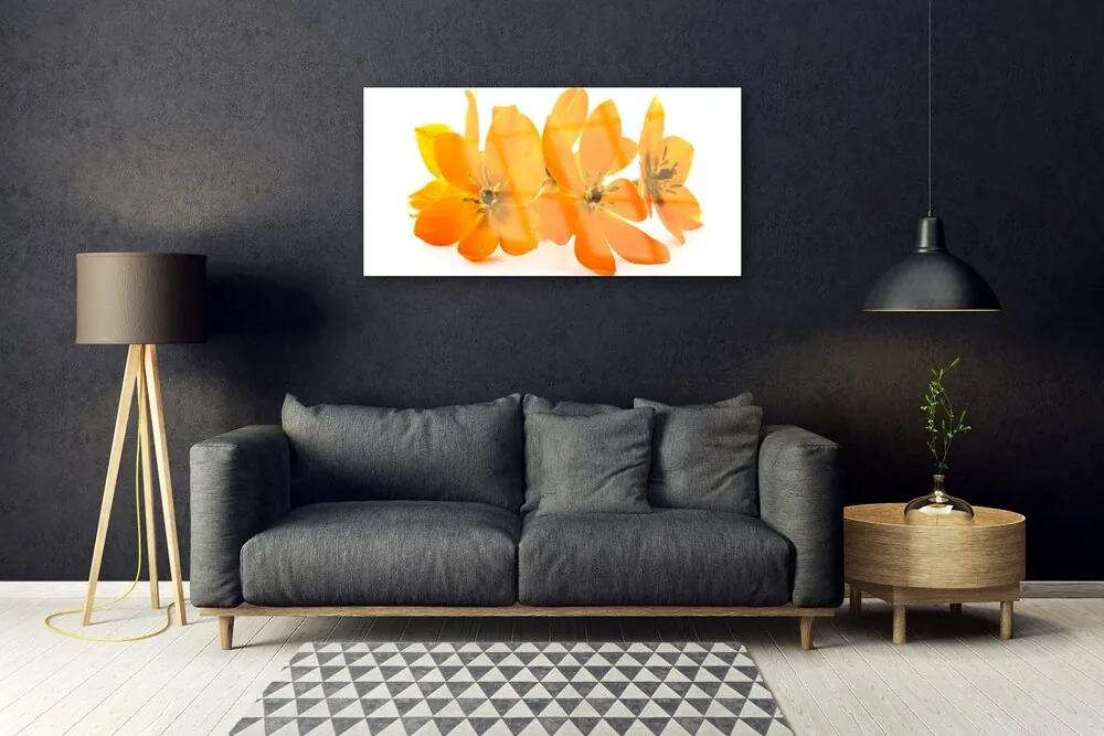 Tablou pe sticla Flori Floral Orange