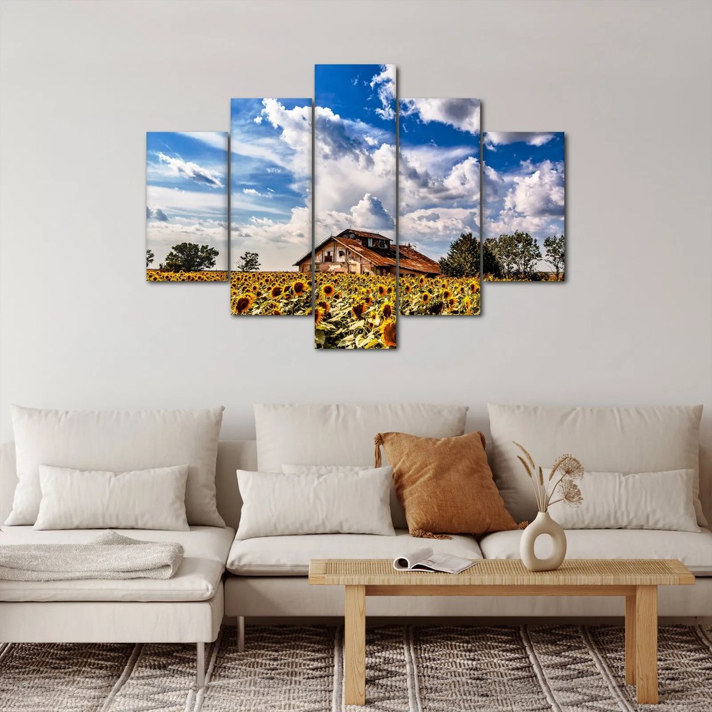 Tablou cu câmp de floarea soarelui (150x105 cm)