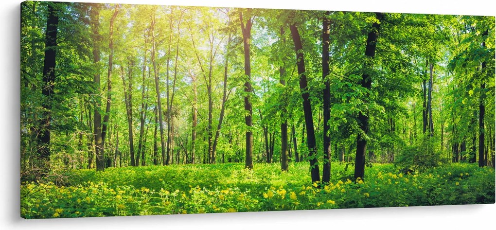 Tablou - Pădurea cu frunze de primăvară (120x50 cm)