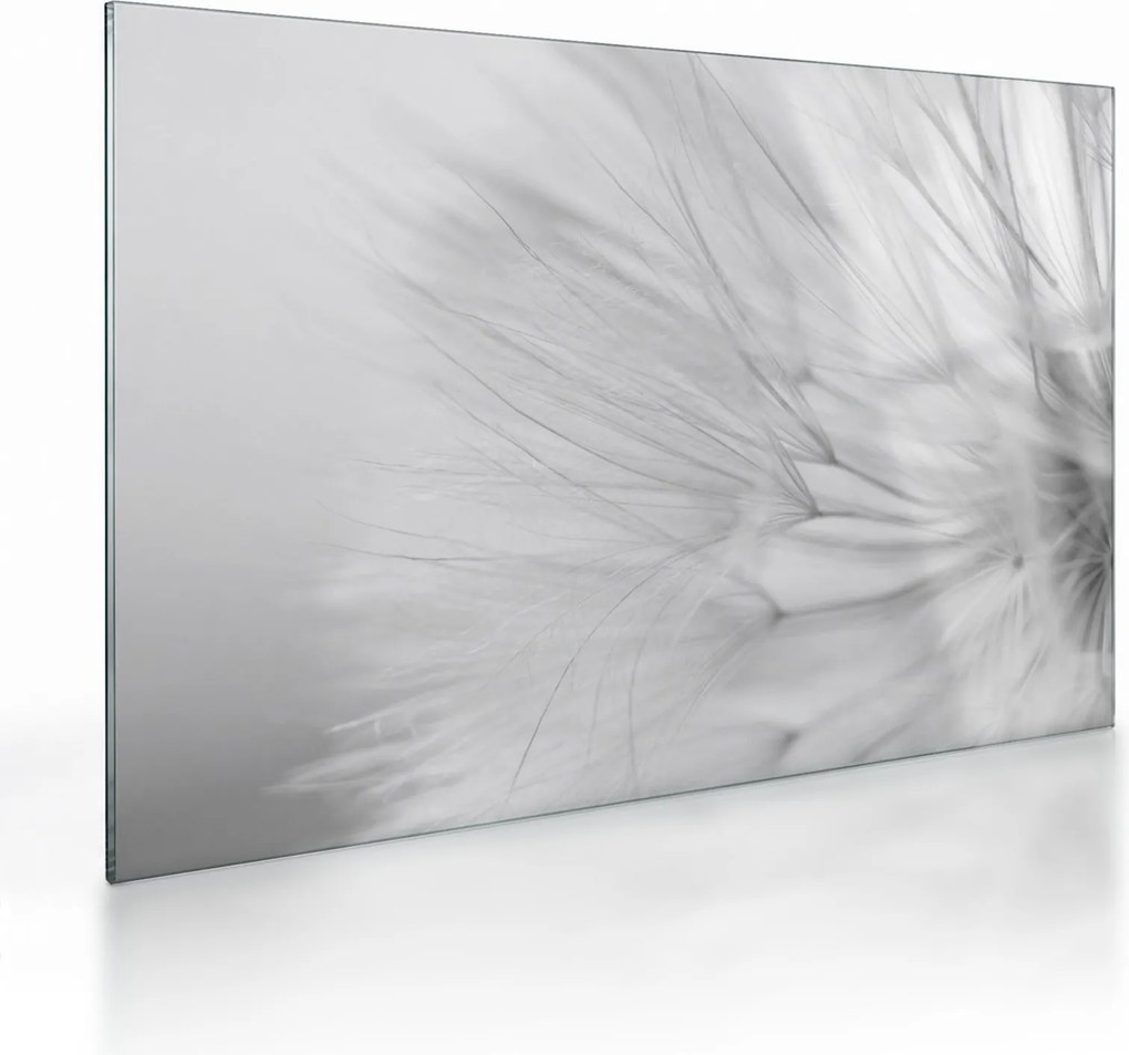 Tablou pe sticlă - Dandelion (70x50 cm)