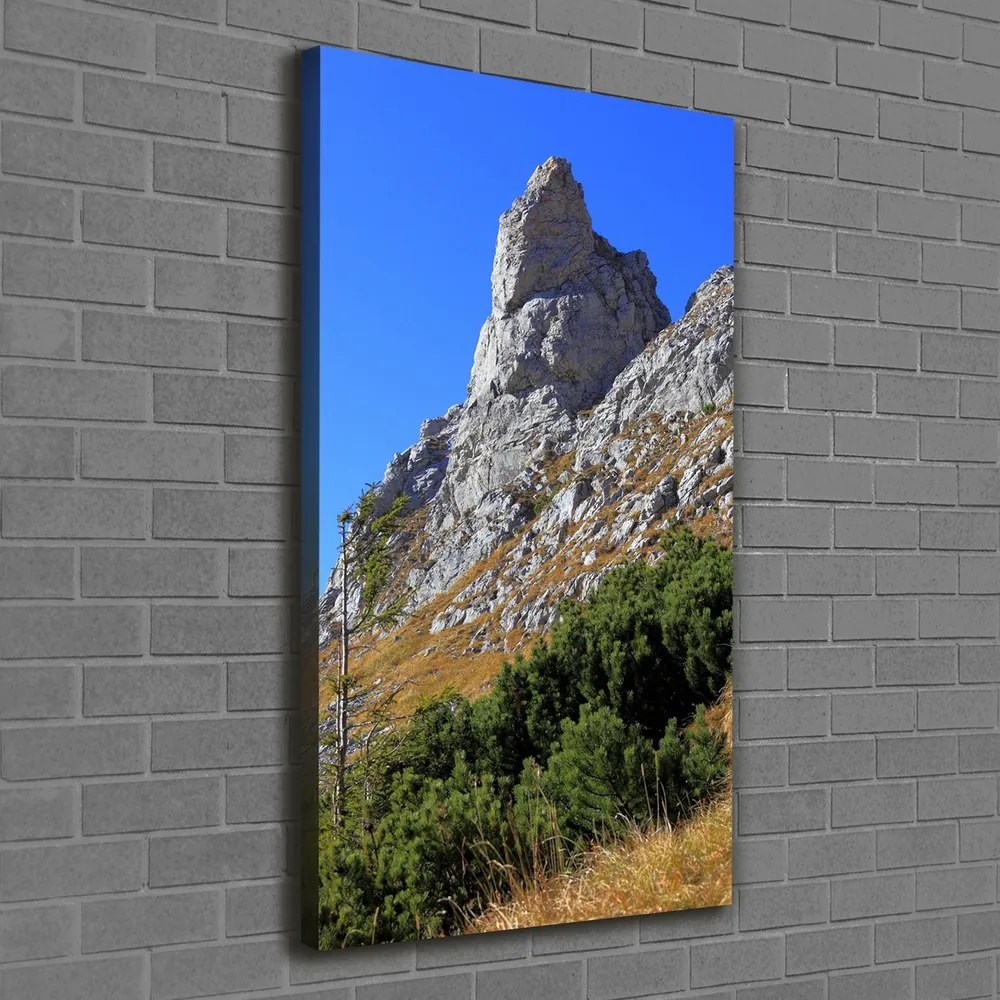 Tablou pe pânză canvas Mici Giewont Tatra