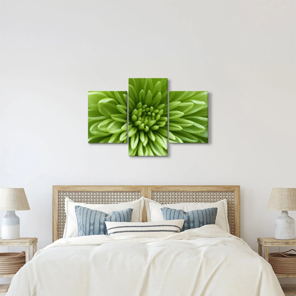 Tablou - Imagine macro a unei plante (90x60 cm)