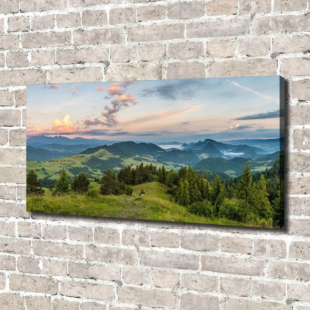 Tablouri tipărite pe pânză Panorama pieniny