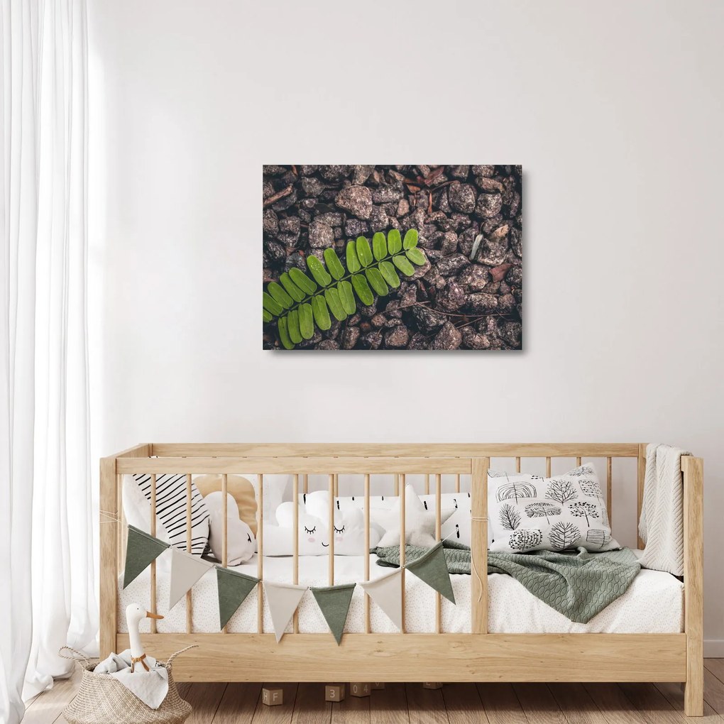 Tablou pe sticlă cu planta verde (70x50 cm)