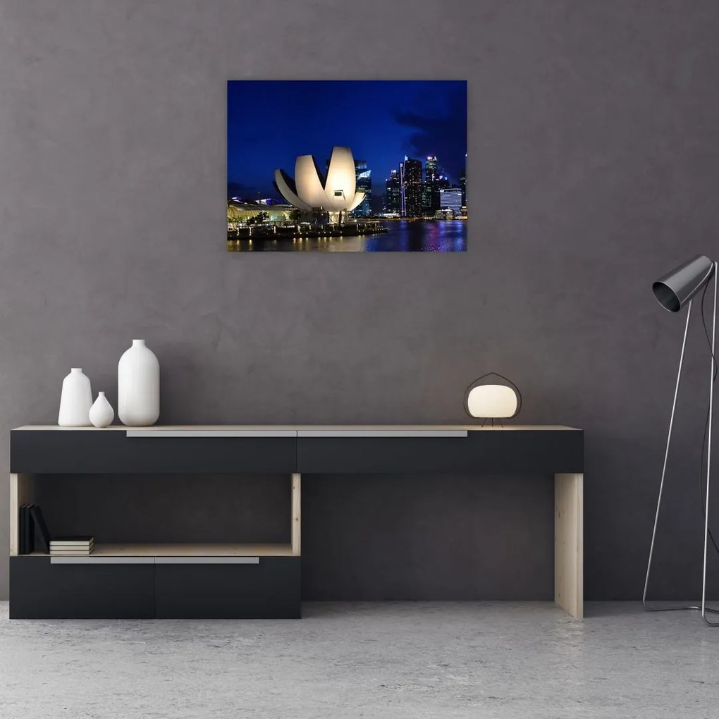 Tablou pe sticlă Singapore nocturn (70x50 cm)