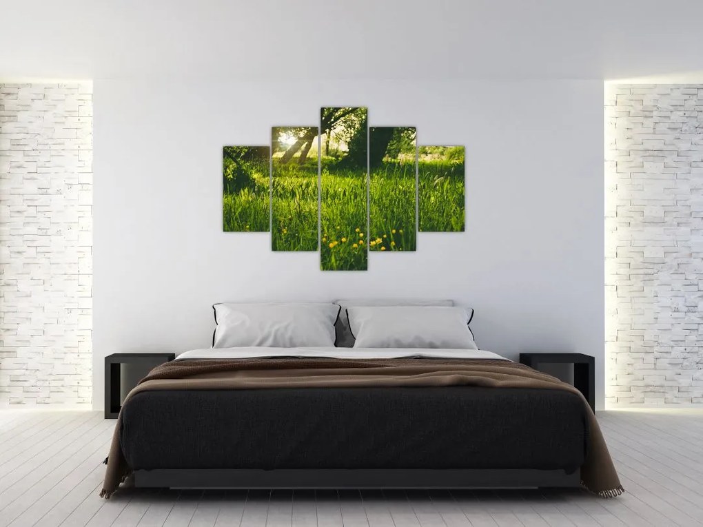 Tablou cu natura - lunca (150x105 cm)