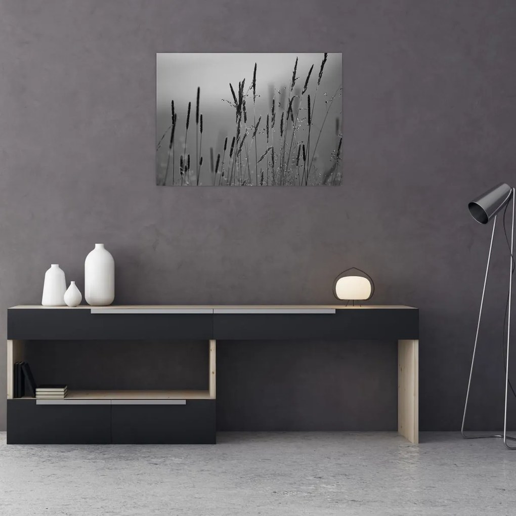 Tablou pe sticlă - Lamele de iarbă (70x50 cm)