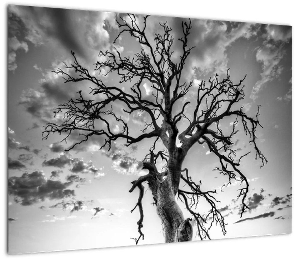 Tablou - Copacul, alb-negru (70x50 cm)