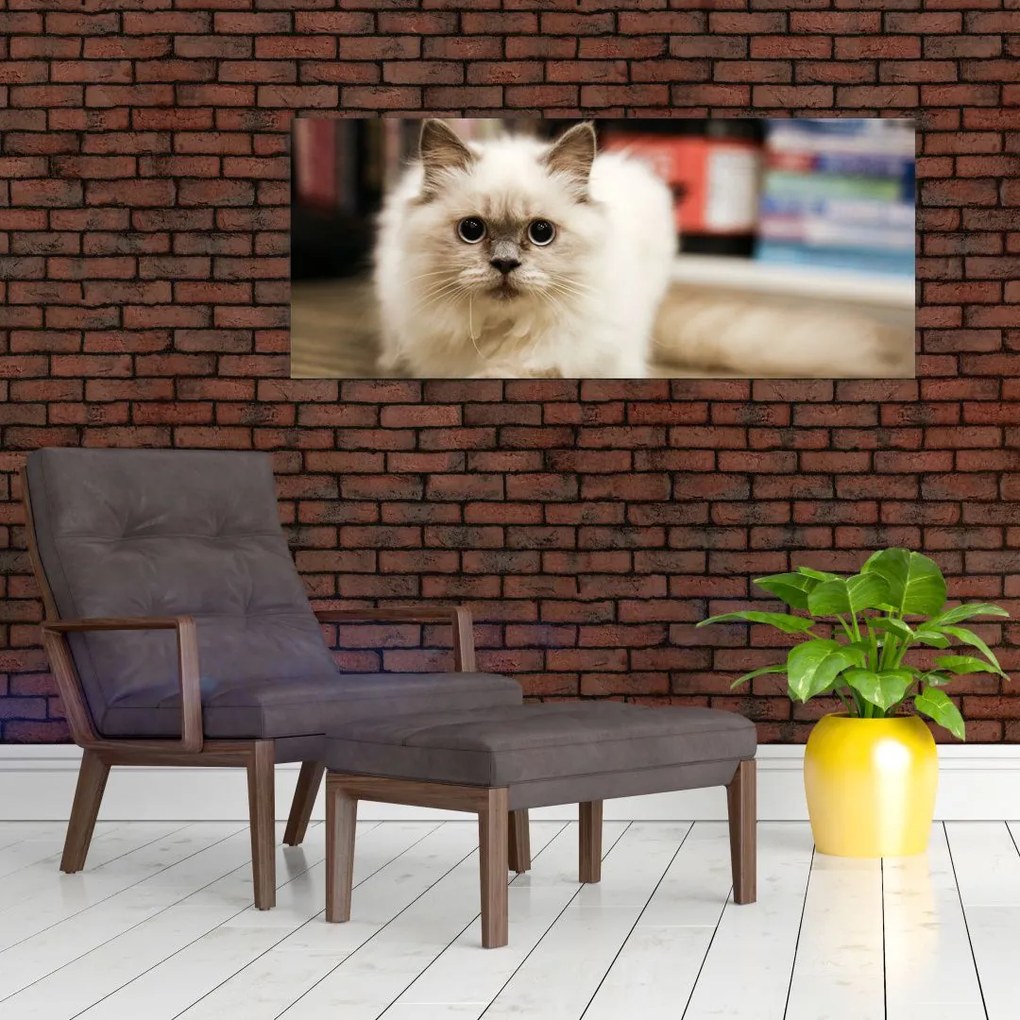 Tablou cu pisica albăr (120x50 cm)