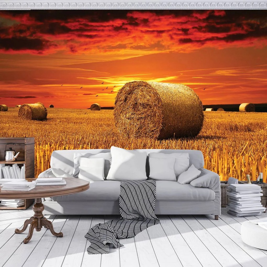 Fototapet - Câmp (152,5x104 cm)