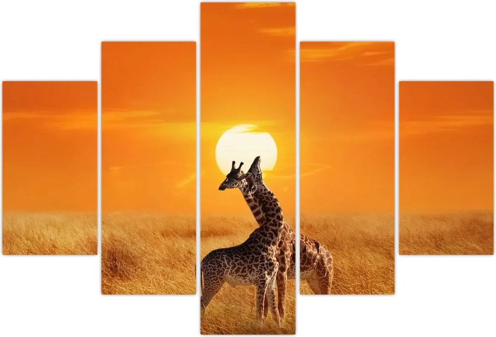 Tablou - Girafe în Parcul Național Serengeti (150x105 cm)