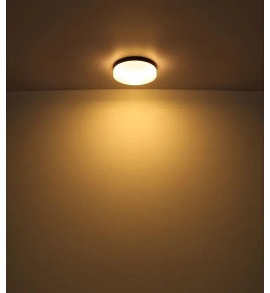 Corp de iluminat pentru baie VRANOS 2xE27/60W/230V d. 24 cm IP44 Globo 32112B