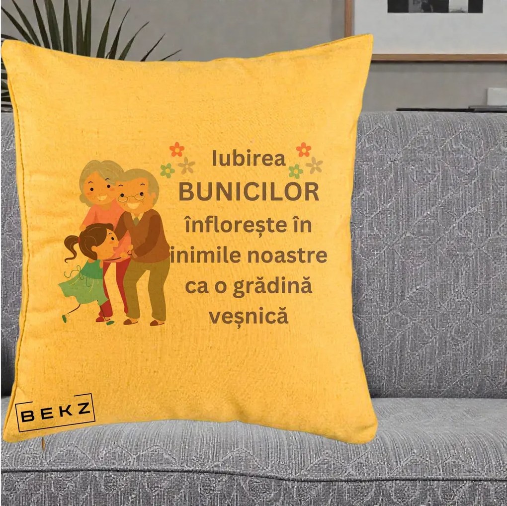 Cadou pentru Bunici - Perna Personalizata Bunicii Iubirea Infloreste Bunici cu Nepoata Colorat, 40x40 cm, Galben, Husa Detasabila, Perna Inclusa, BEKZ®