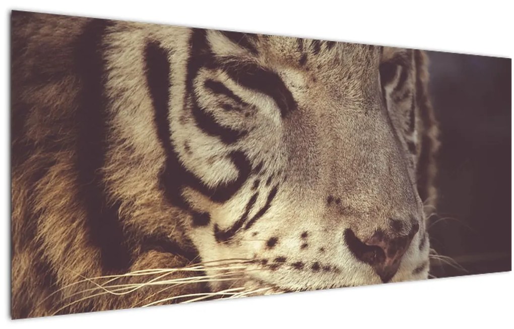 Tablou cu tigrul (120x50 cm)