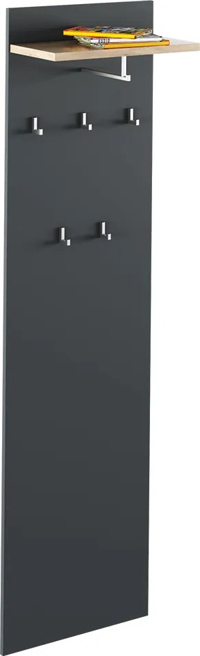 Cuier cu bara de umerase RIOMA NEW TYP 19, gri grafit/stejar artisan,