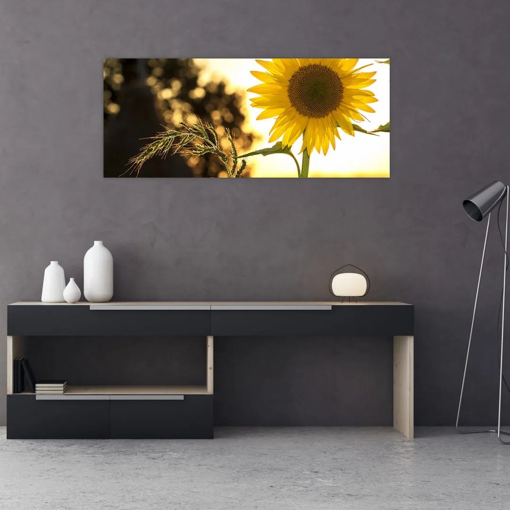 Tablou cu floarea soarelui (120x50 cm)