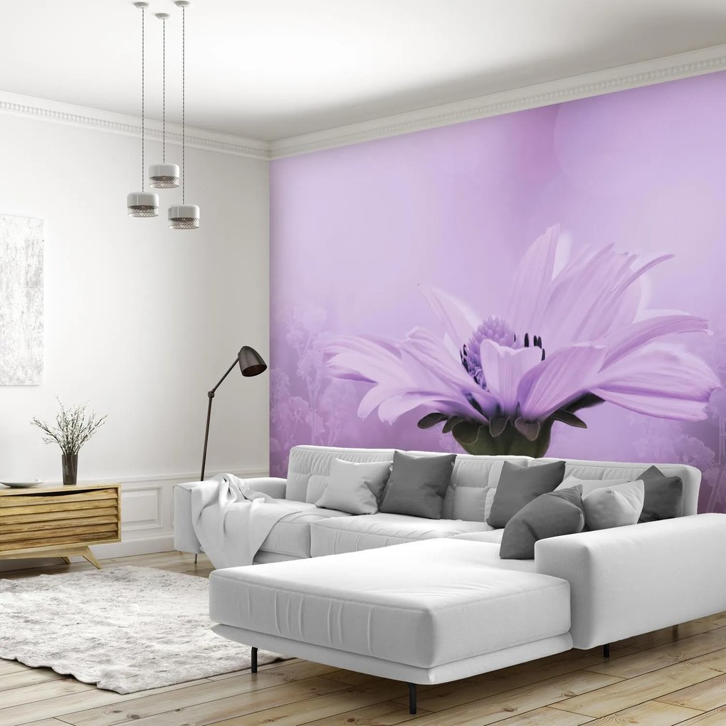 Fototapet - Flori mov (147x102 cm)