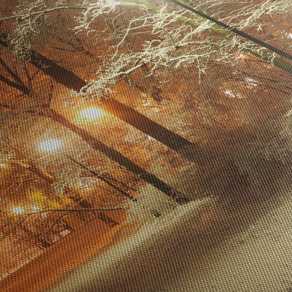 Tablou - Parcul înzăpezit (90x60 cm)