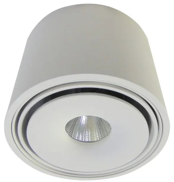 Spot LED aplicat directionabil de tavan/plafon BOSTON TUBE alb ZZ AZ3469