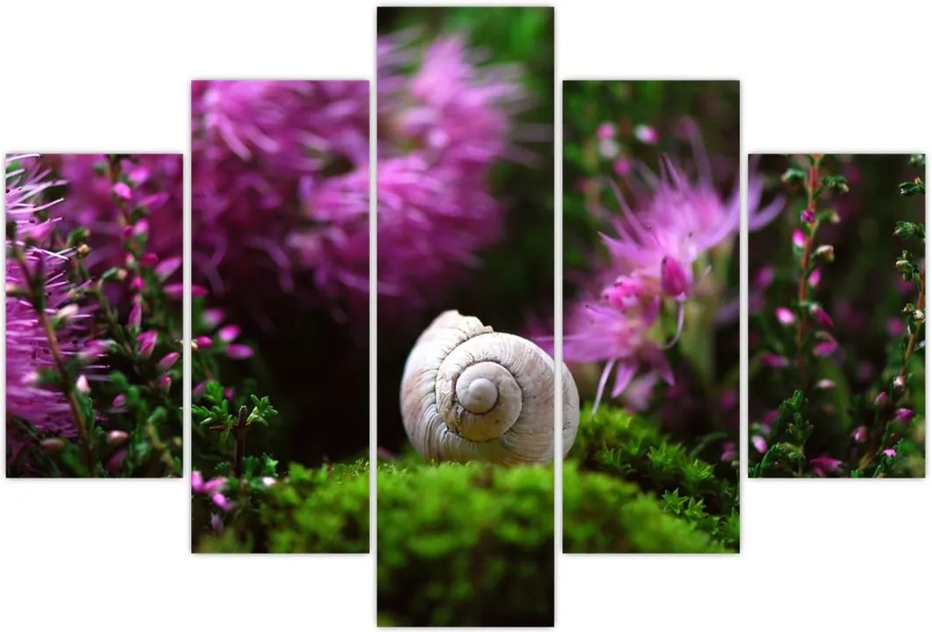 Tablou - Cochilie de melc (150x105 cm)