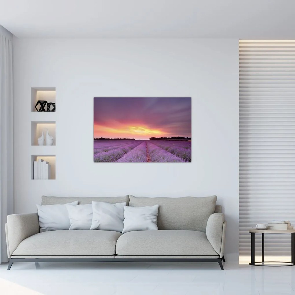 Tablou - Câmp de lavandă (90x60 cm)