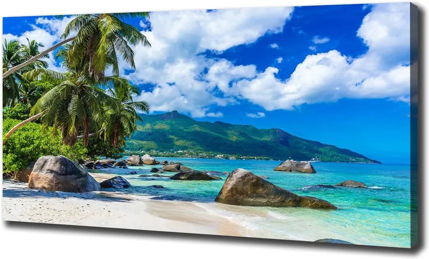 Tablou pe pânză Plaja seychelles