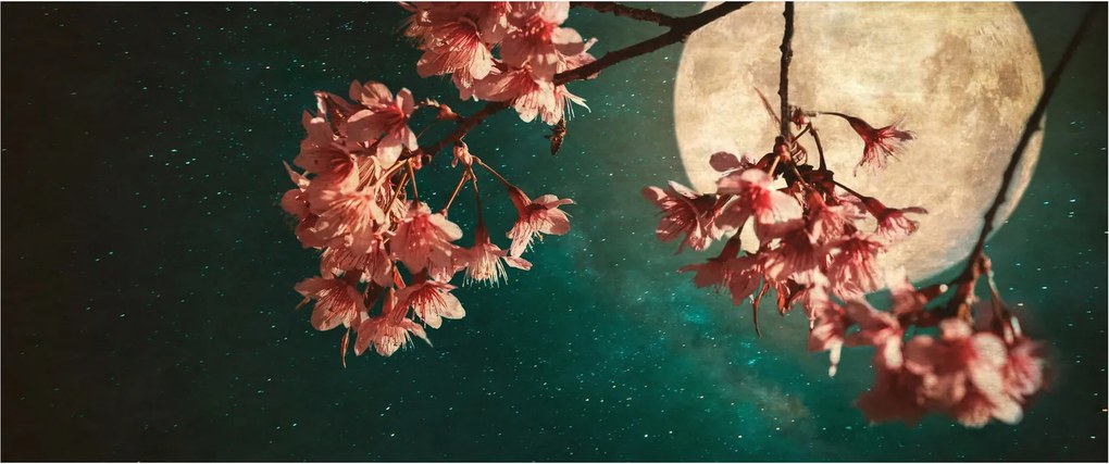 Tablou - Sakura în luna plină (120x50 cm)