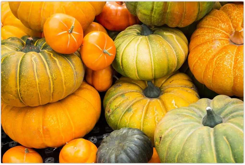 Tablou - Dovleac de toamnă (90x60 cm)