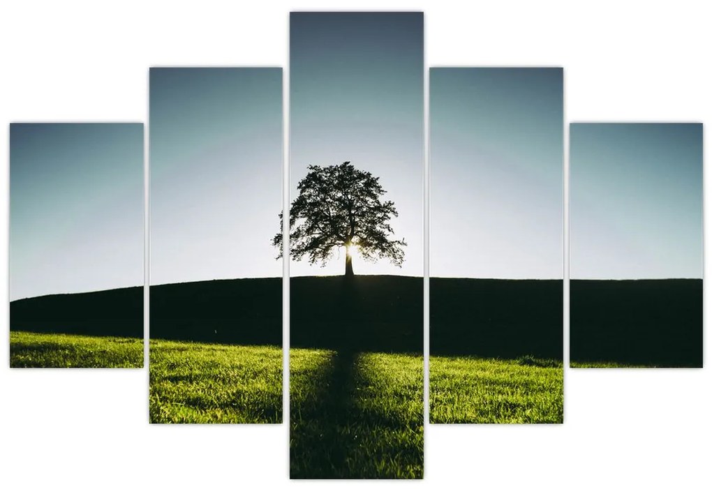 Tablou cu natura - copac (150x105 cm)