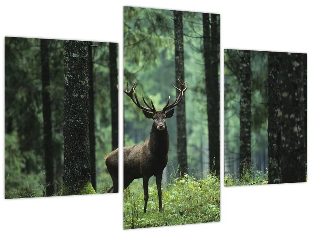 Tablou - Cerb în pădurea adâncă (90x60 cm)