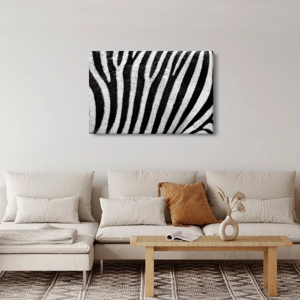 Tablou cu piele de zebră (90x60 cm)