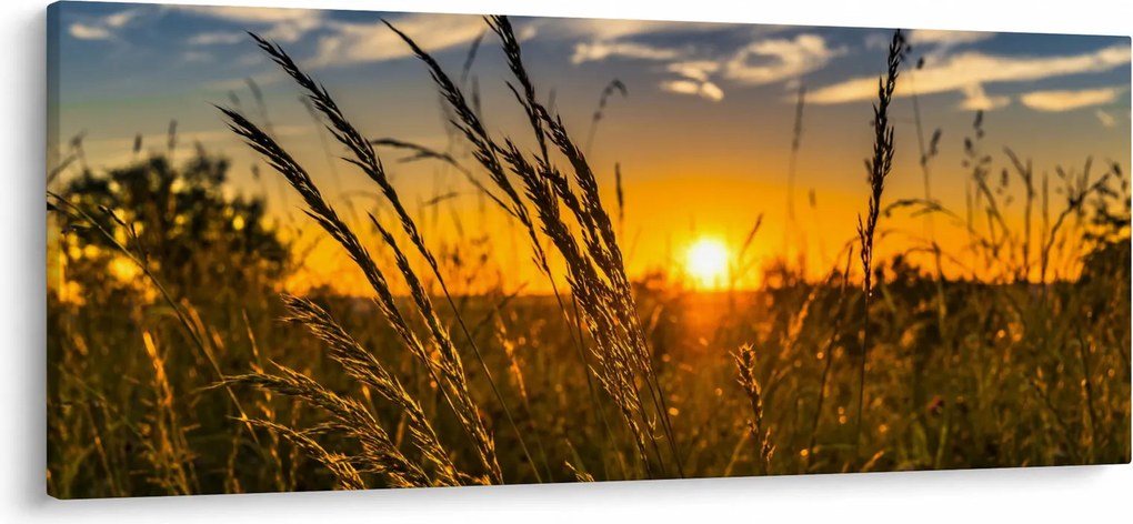 Tablou cu câmp în apus de soare (120x50 cm)