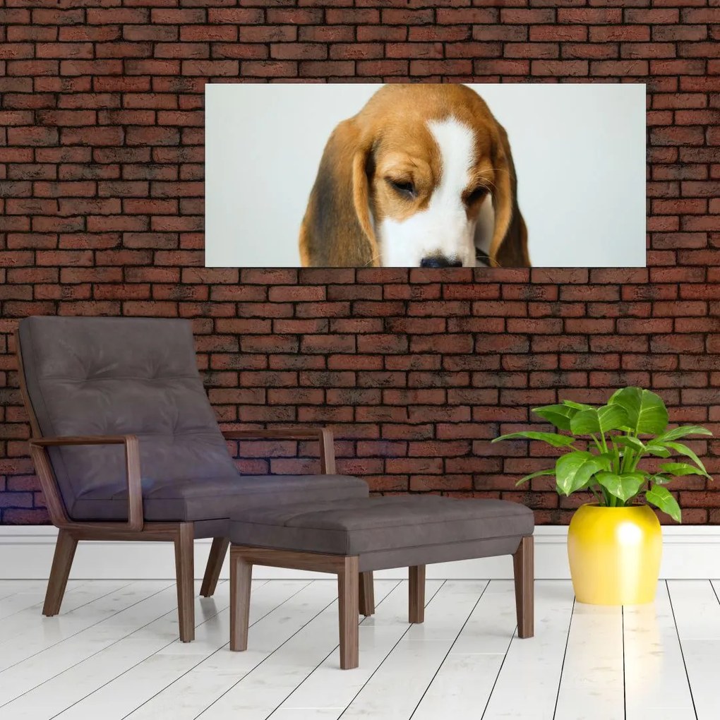 Tablou cu bigl (120x50 cm)