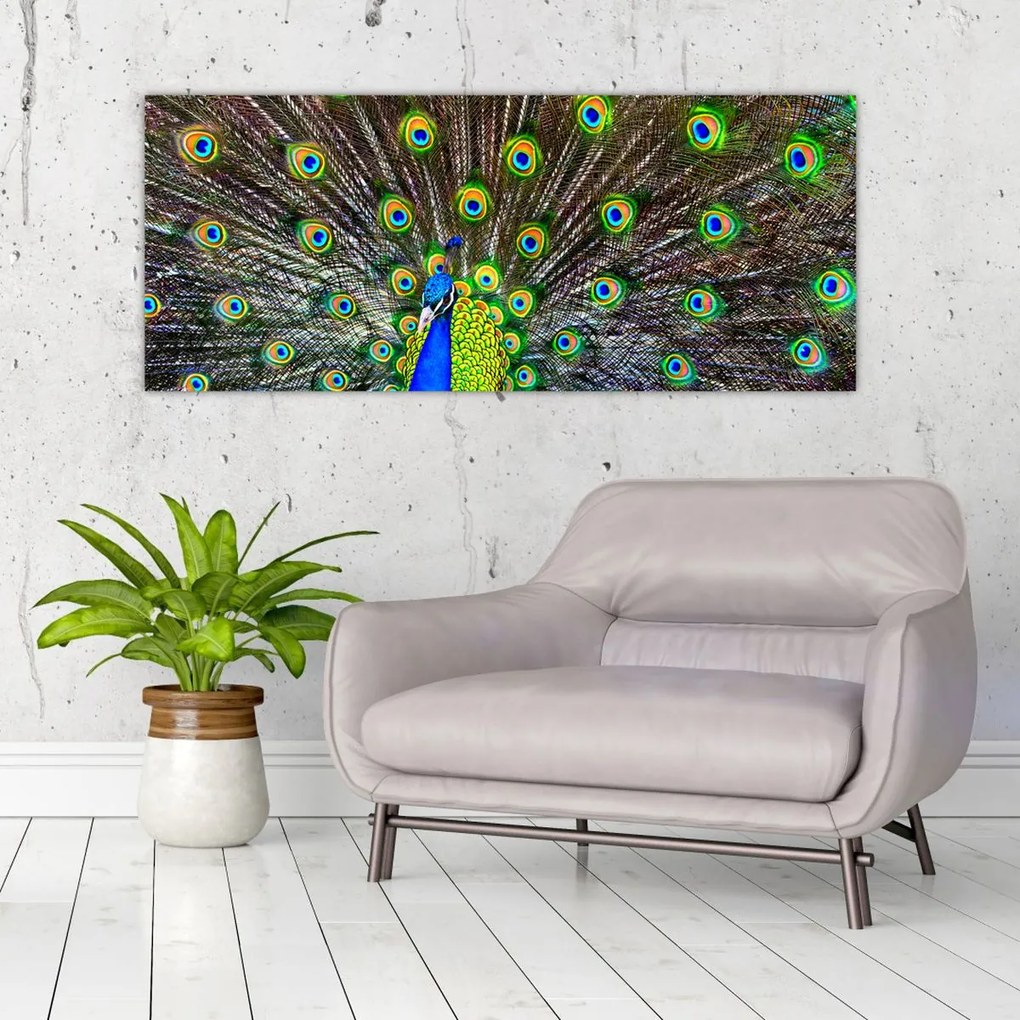 Tablou - Păun (120x50 cm)