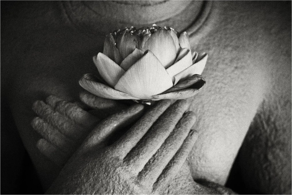 Tablou - Lotus în mâinile lui Buddha (90x60 cm)