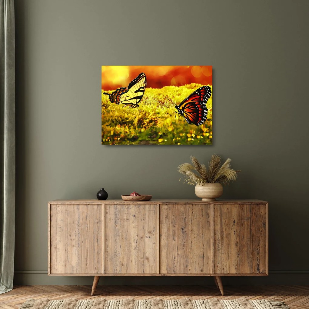 Tablou pe sticlă cu fluturi (70x50 cm)