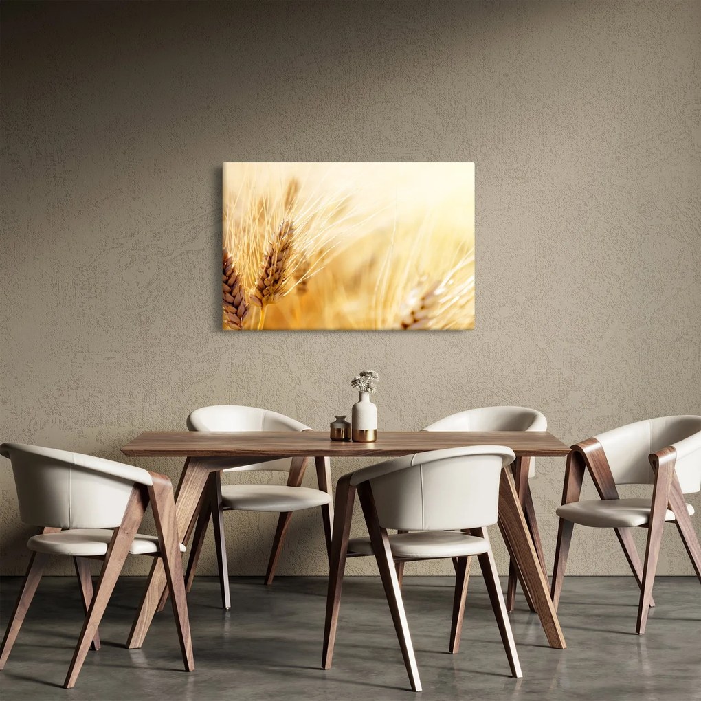 Tablou- detaliu cu (90x60 cm)