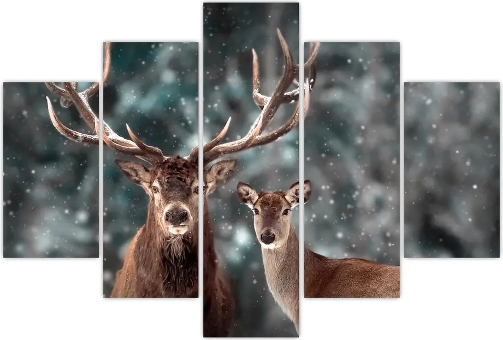 Tablou - Cerb și căprioare în pădurea înzăpezită (150x105 cm)