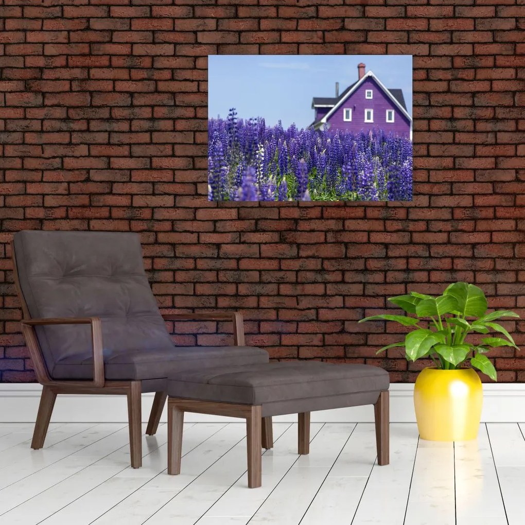 Tablou pe sticlă cu câmp de lavanda (70x50 cm)