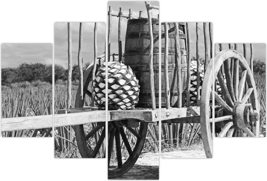 Tablou - Remorcă,alb-negru (150x105 cm)