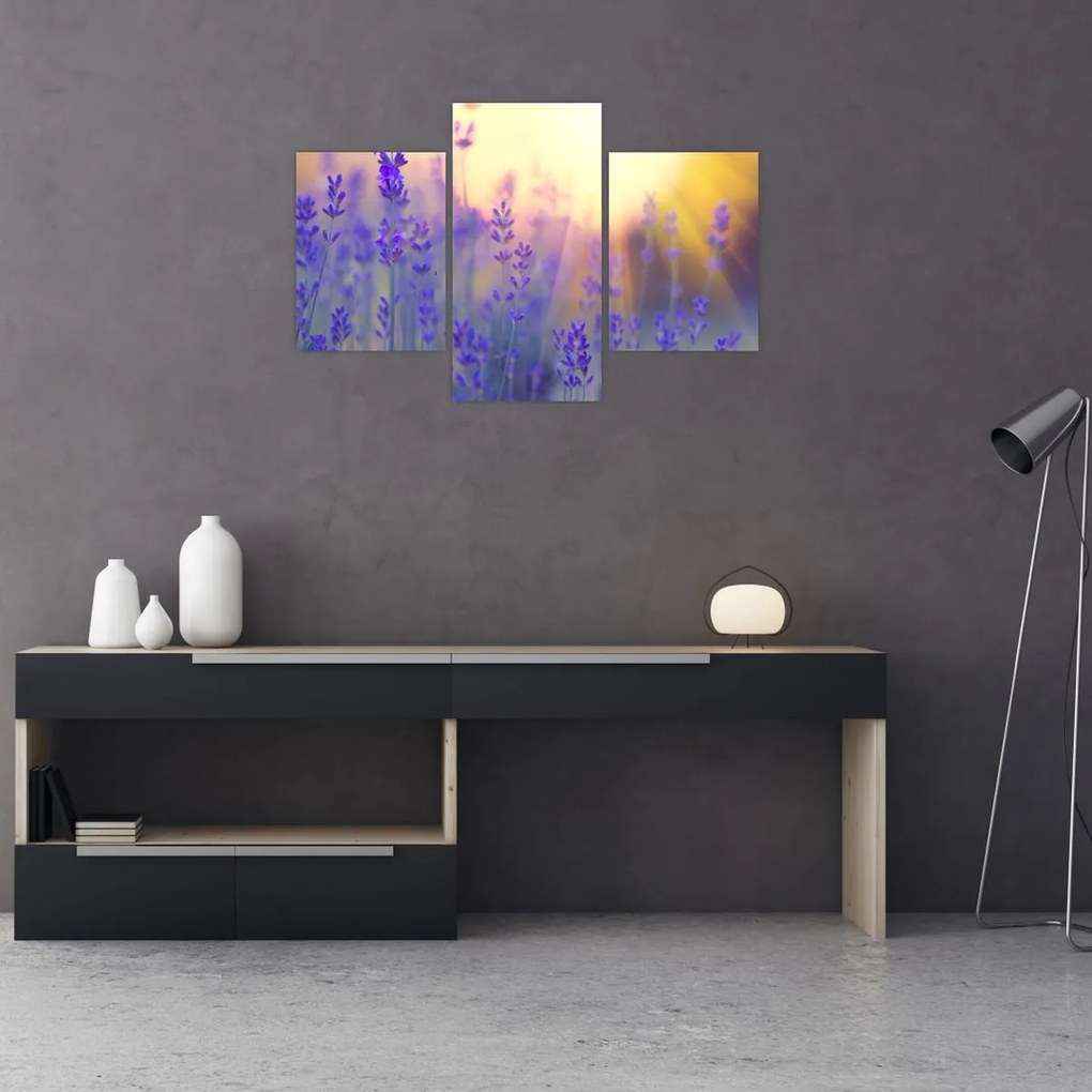 Tablou - Levănțică (90x60 cm)